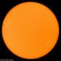 Sunspot072910